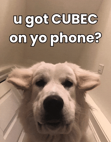 Biomedical Engineering Dog GIF by CUBEC