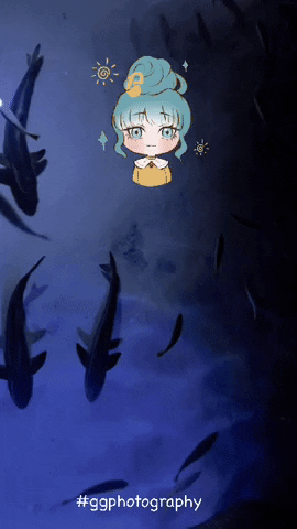 Ggphotography GIF