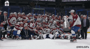Stanley Cup Oops GIF by NHL