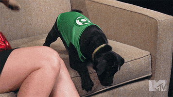 200.gif?cid=fc005b08e26ca63dd627770ca1ef8500be29fc24f22f61da&rid=200.gif&ct=g