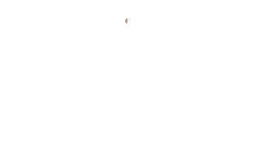 Performance Sticker by castrolturkey