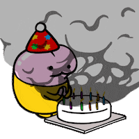 Happy Birthday Party GIF by kwaesam