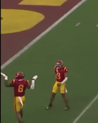 Usc Trojans Concussion GIF