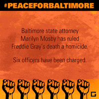 baltimore GIF by gifnews