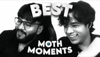 Moth GIF