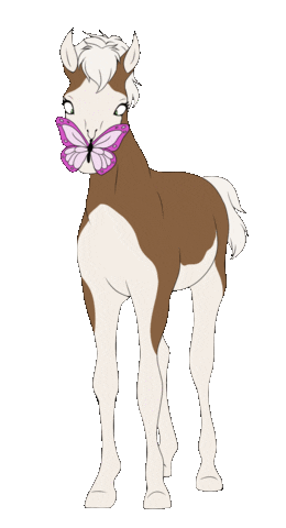 Butterfly Sticker