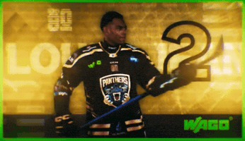 Ice Hockey Panthers GIF
