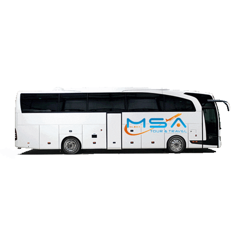 msatour Sticker