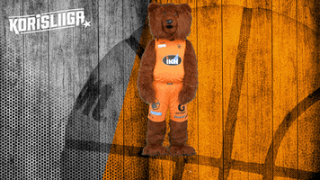 The Bear Mascot GIF by Basket_fi