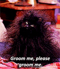 Childhood Tv GIFs - Get the best GIF on GIPHY