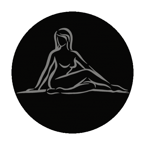 DVPS Sticker