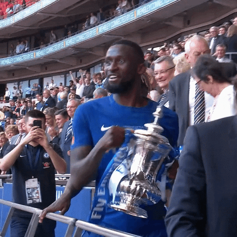 Chelsea Fc Celebration GIF by Emirates FA Cup