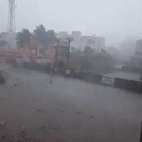 Strong Winds Hit Chennai as Cyclone Vardah Sweeps Through