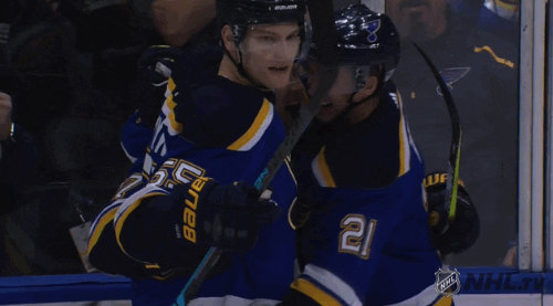 St Louis Blues No GIF by NHL - Find & Share on GIPHY