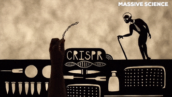 Mit Invention GIF by Massive Science