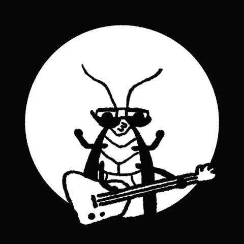 Guitar GIF