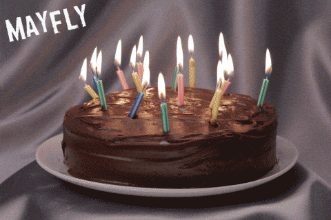 animated birthday cake with candles