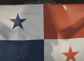 Represent World Cup GIF by Major League Soccer