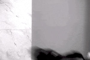 Madonna GIF