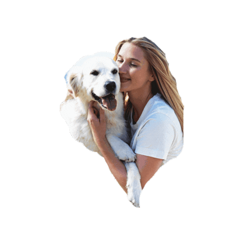 ProDen PlaqueOff® Sticker