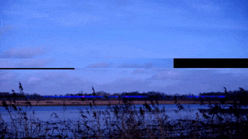 Ecobitch GIF