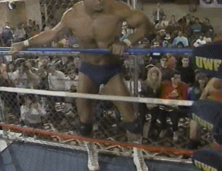 Wwe GIF
