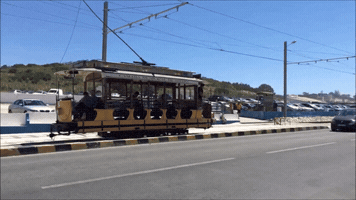 mplagence  GIF