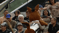 Coyotes-fan GIFs - Get the best GIF on GIPHY