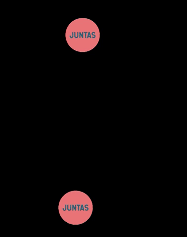 Bolivia Feminicidio GIF