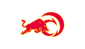 Alinghi Red Bull Racing Sticker