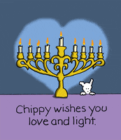 Let There Be Light Jewish GIF by Chippy the Dog