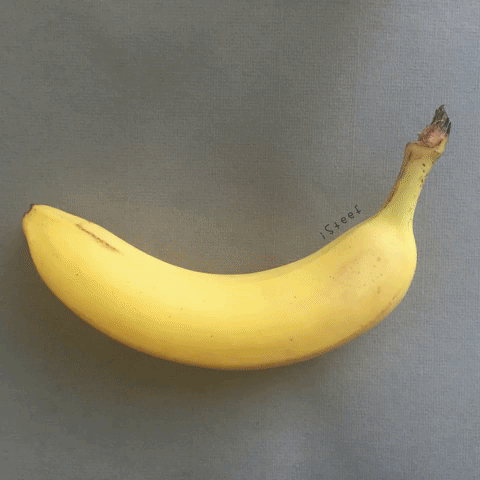 iSteef germany banana art urbanana GIF