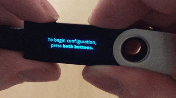 ledger  GIF