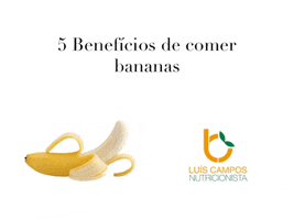 luiscampos-5493  GIF