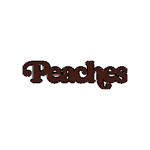 Sticker by Peaches Pilates