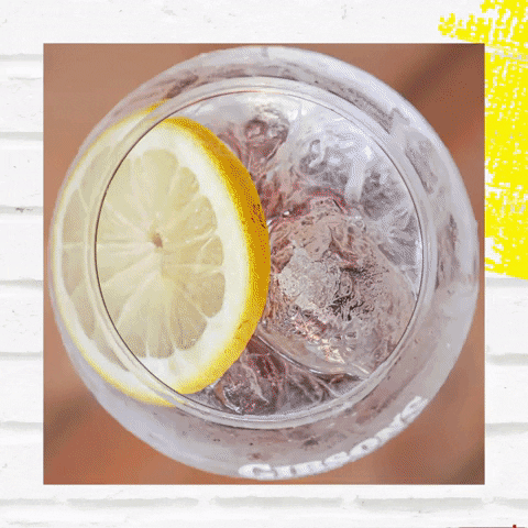 Gibson's Gin GIF