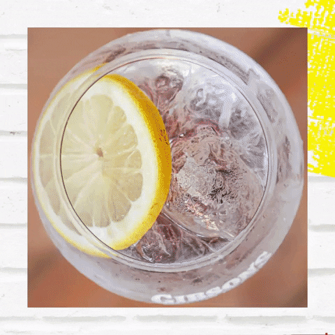 Gibsonsgin cocktail gintonic ginto gibsons GIF