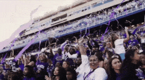Football Celebrating GIF by JMUDukes
