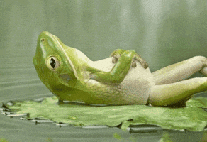 No Stress Relax GIF