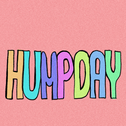 Text gif. Rainbow text that stretches up into a hump. Text, “Humpday.”