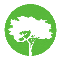 Tree Houston Real Estate Sticker by Carnan Properties