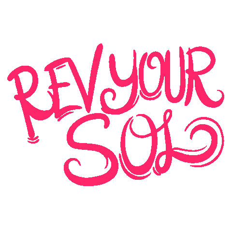 solrev Sticker