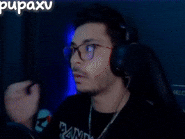 Twitch Streamer Omg GIF