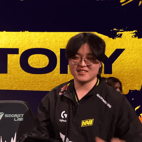 Navi Lec GIF by Natus Vincere