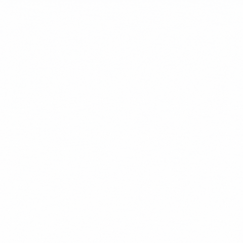 Gesellschaft für MPS e.V. GIF