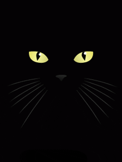 Dark Cat GIFs - Get the best GIF on GIPHY