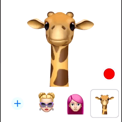 Animated GIF