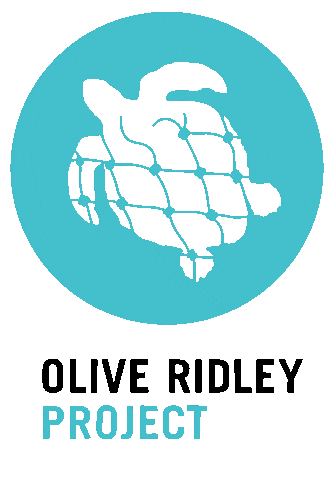 Olive Ridley Project Sticker