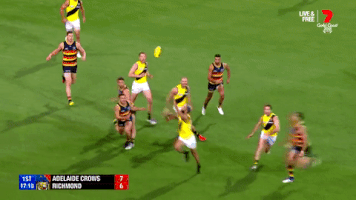 2018 Season Football GIF by AFL