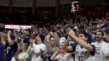 excited party GIF by UConn Huskies